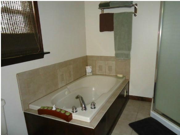 1614 Clinton Street McKees Rocks, PA 15136 - Photo 12 of 19 Master Bath/Spa.