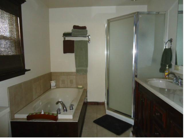 1614 Clinton Street McKees Rocks, PA 15136 - Photo 13 of 19 Master Bath/Spa.