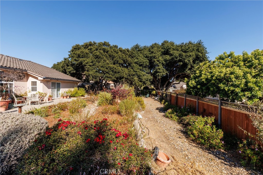 535 Charro Way Nipomo, CA 93444 - Photo 26 of 34 a view of street with flower plants