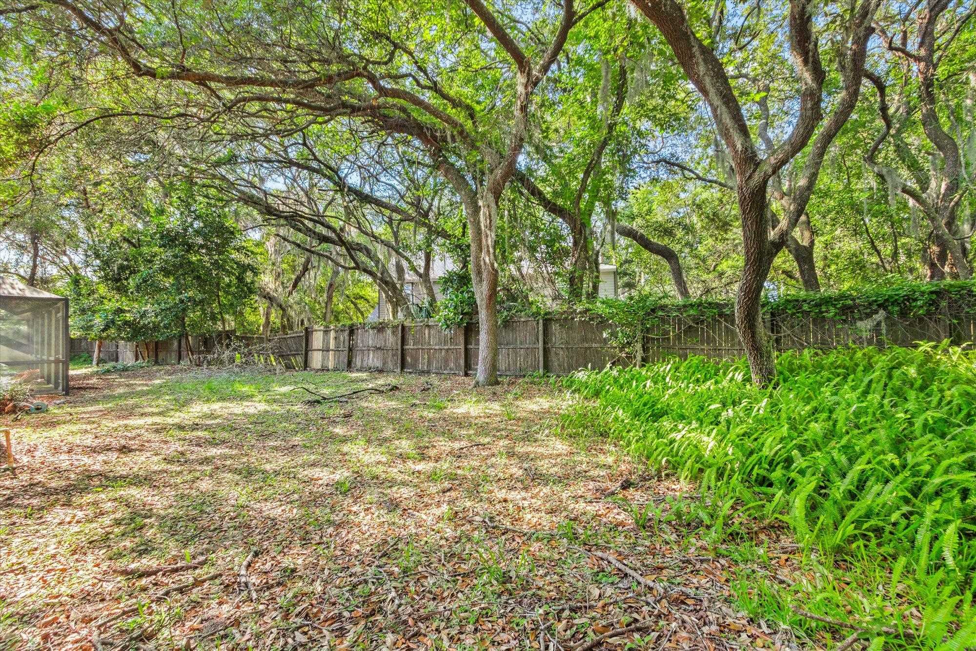 913 Chippewa Street St. Augustine, FL 32086 - Photo 49 of 56 a view of a yard with a tree