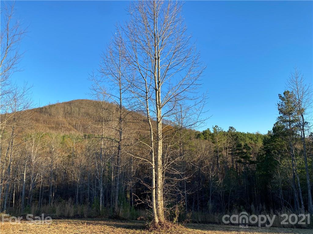 58 Pilot Ridge Road, Unit 29 Nebo, NC 28761 - Photo 12 of 32