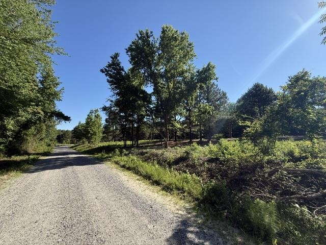 491 Crow Burk Road Pageland, SC 29728 - Photo 9 of 9