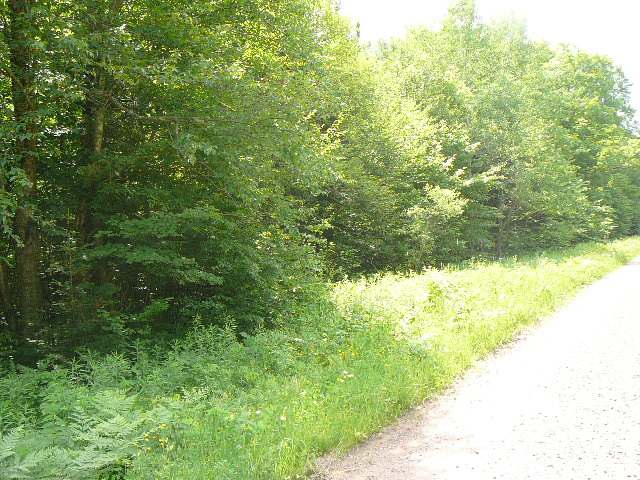 On Bjorklund Road Ogema, WI 54459 - Photo 4 of 5 Gallery Image 4