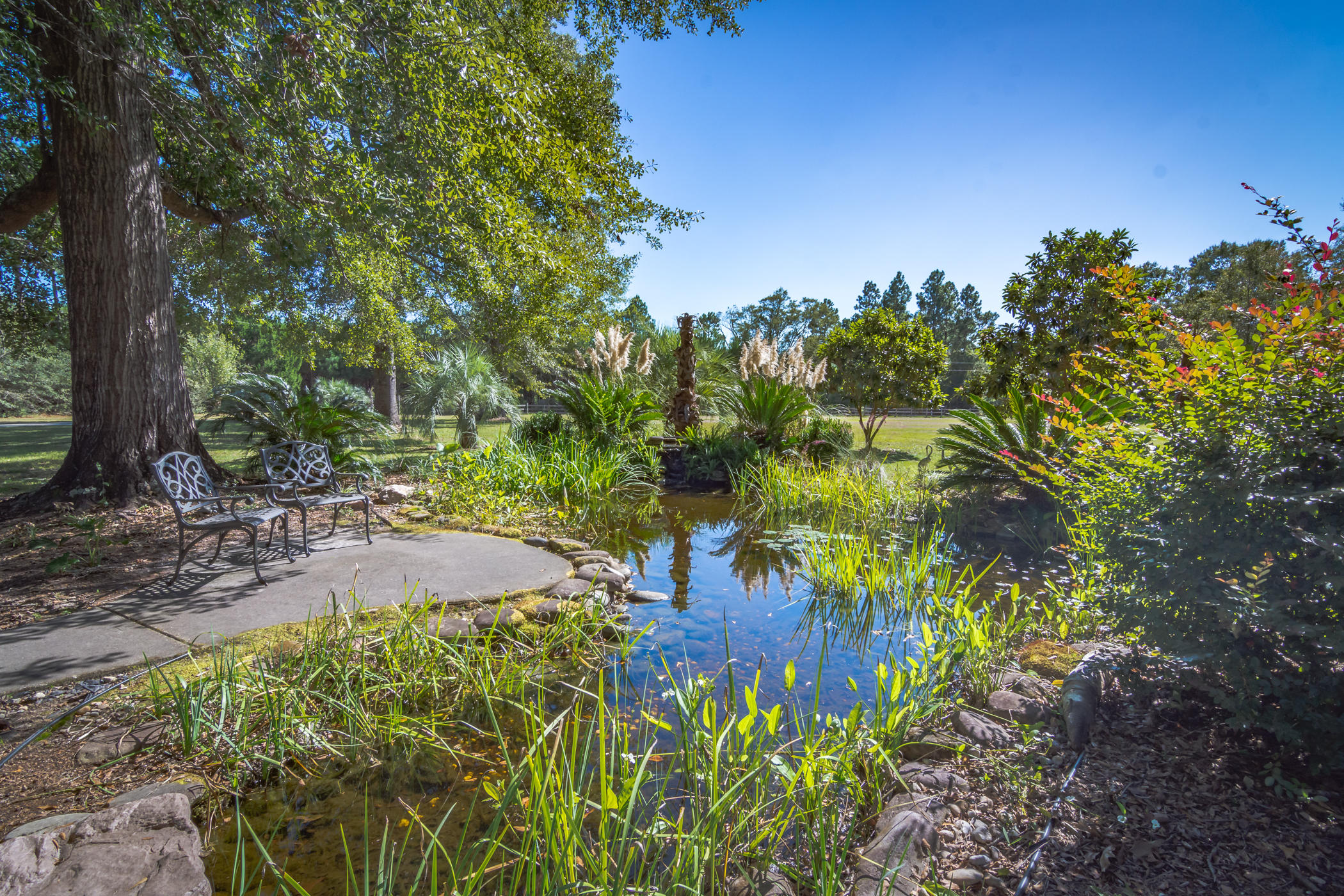 7262 Old River Road Baker, FL 32531 - Photo 50 of 63 a view of a yard with plants and trees