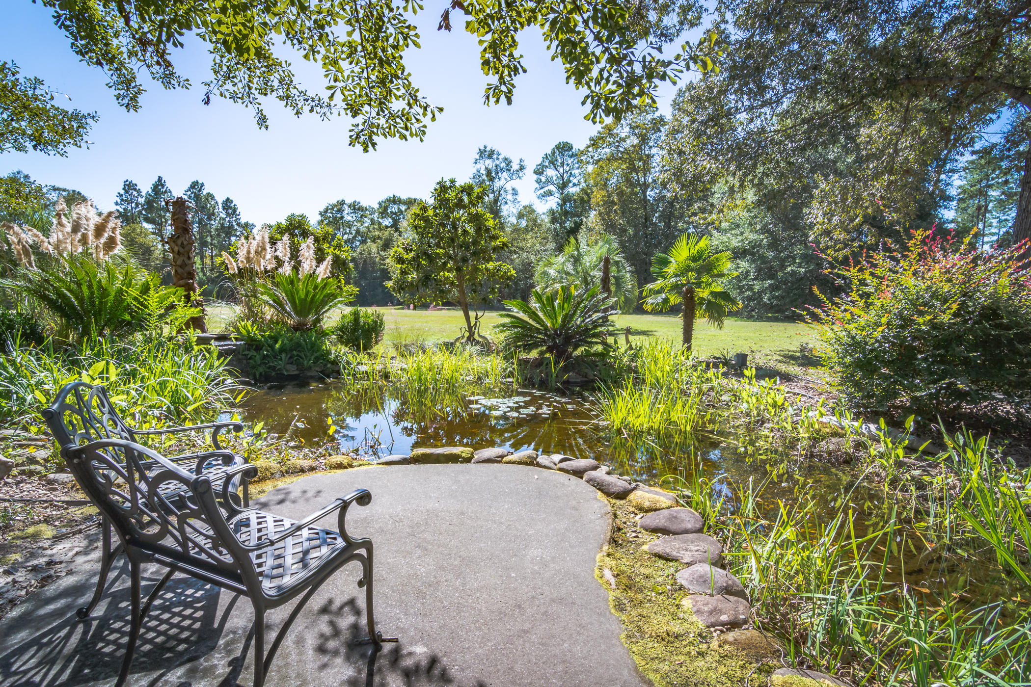 7262 Old River Road Baker, FL 32531 - Photo 51 of 63 a view of a yard with plants