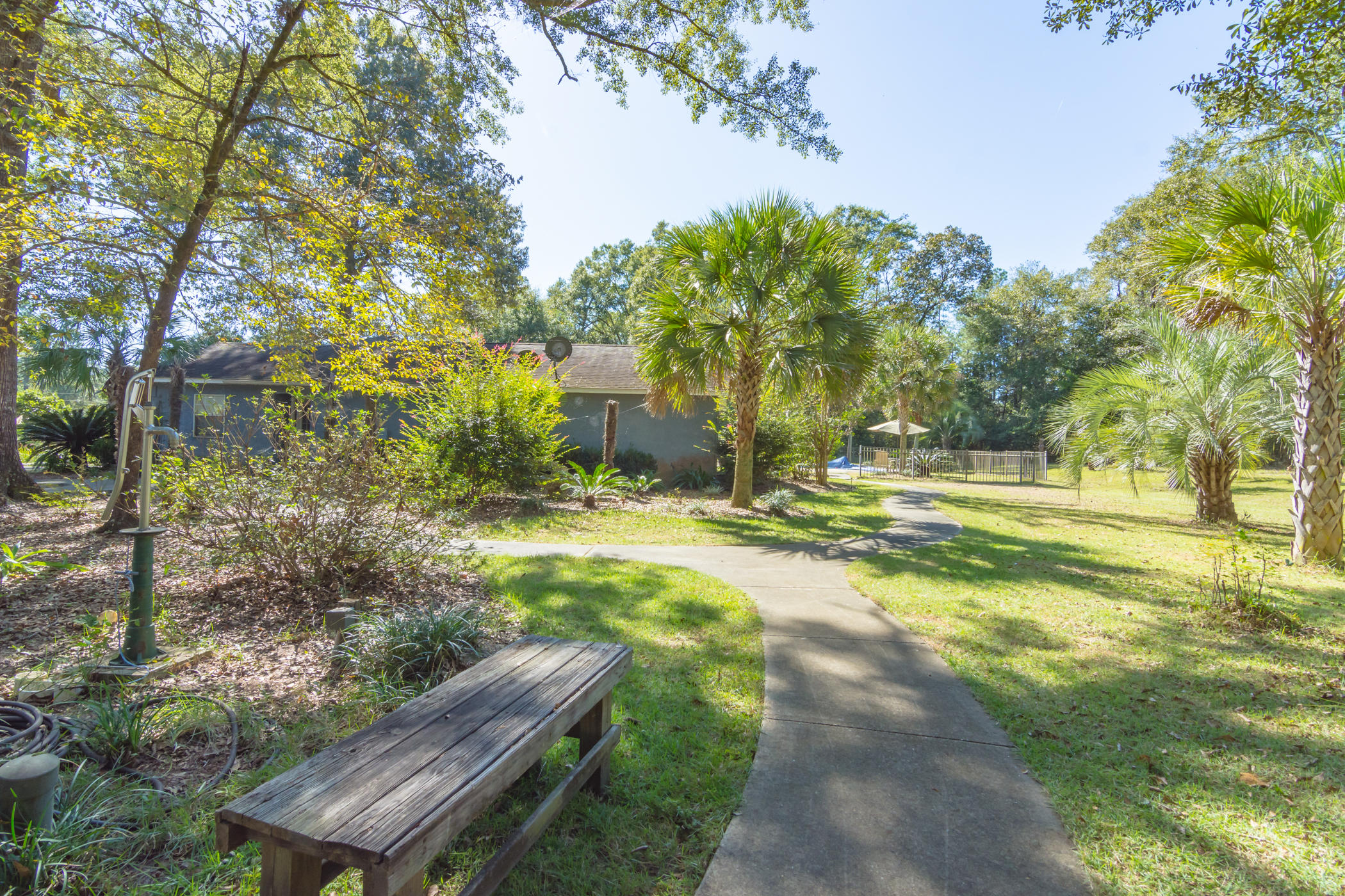 7262 Old River Road Baker, FL 32531 - Photo 52 of 63 a view of a yard with plants and trees
