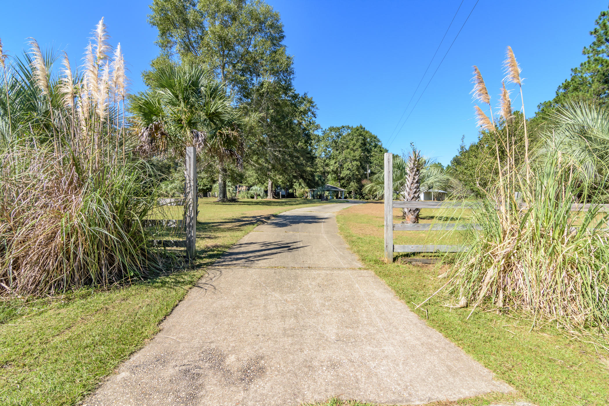 7262 Old River Road Baker, FL 32531 - Photo 55 of 63 a view of yard