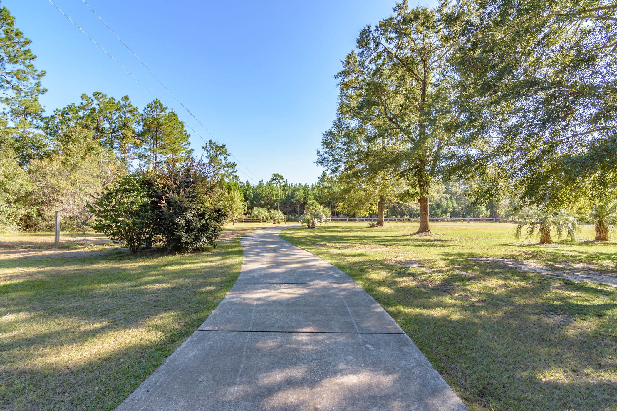 7262 Old River Road Baker, FL 32531 - Photo 60 of 63 a view of yard with swimming pool and trees