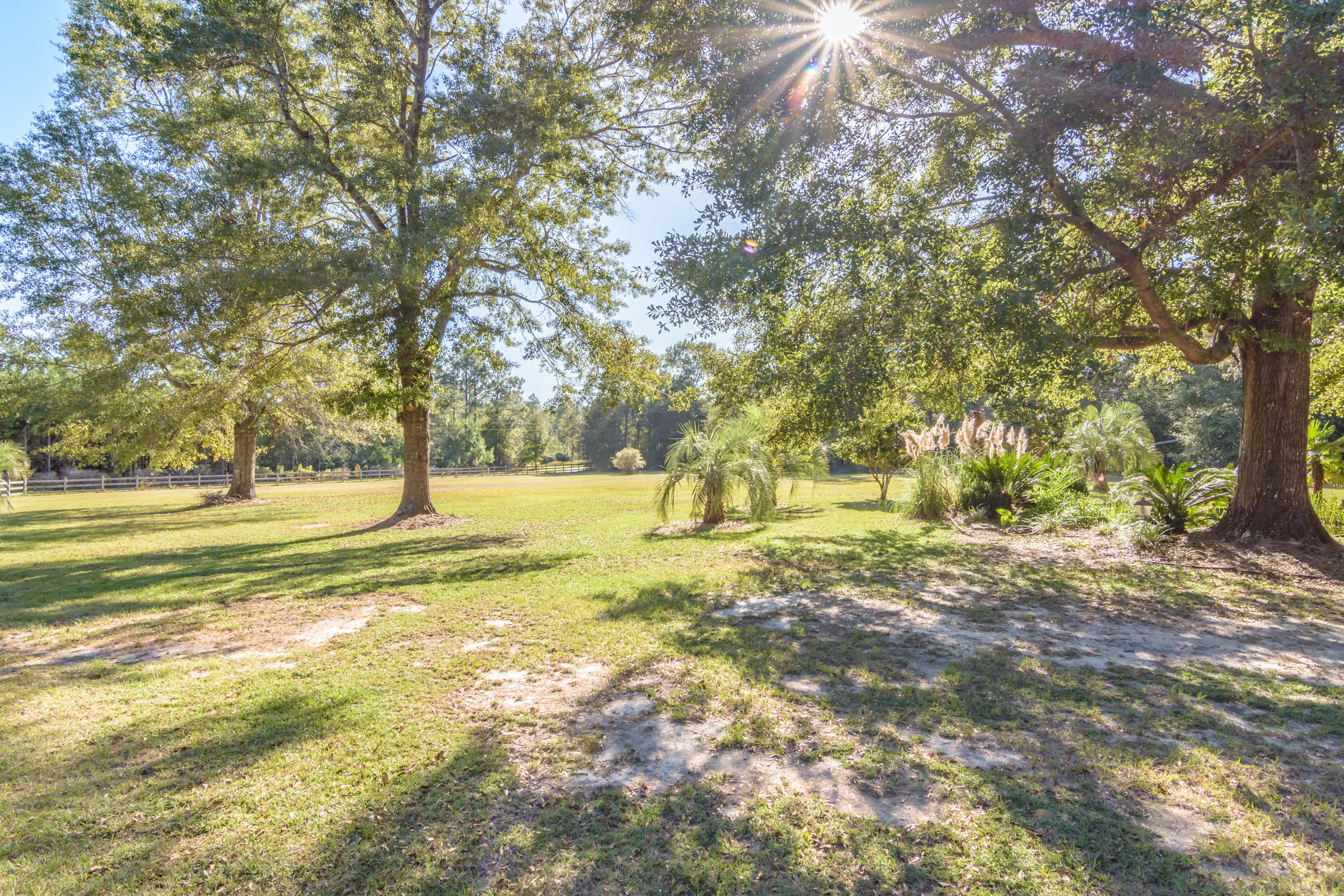 7262 Old River Road Baker, FL 32531 - Photo 61 of 63 a view of yard with swimming pool and trees