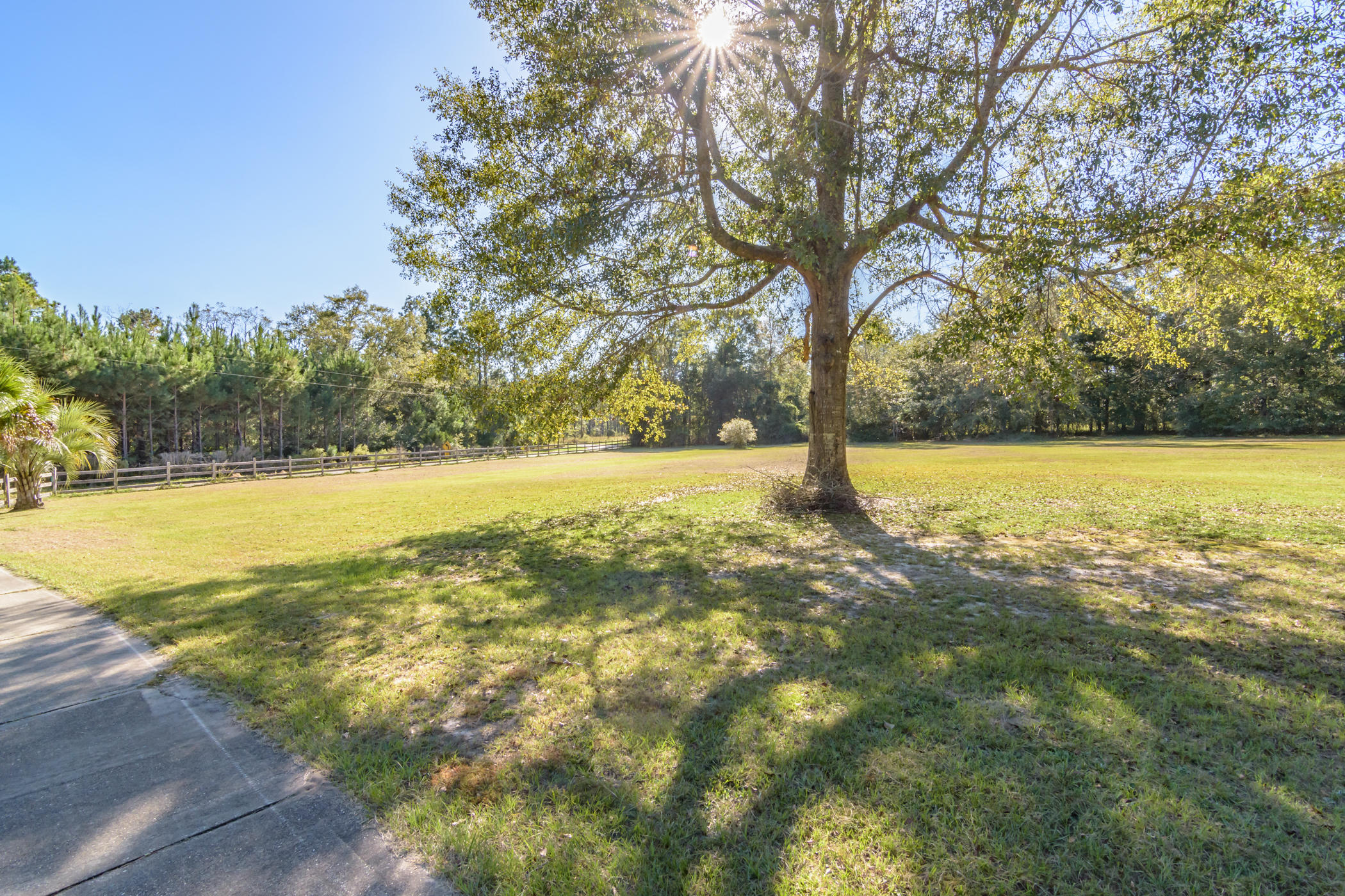 7262 Old River Road Baker, FL 32531 - Photo 62 of 63 a view of yard with swimming pool and trees