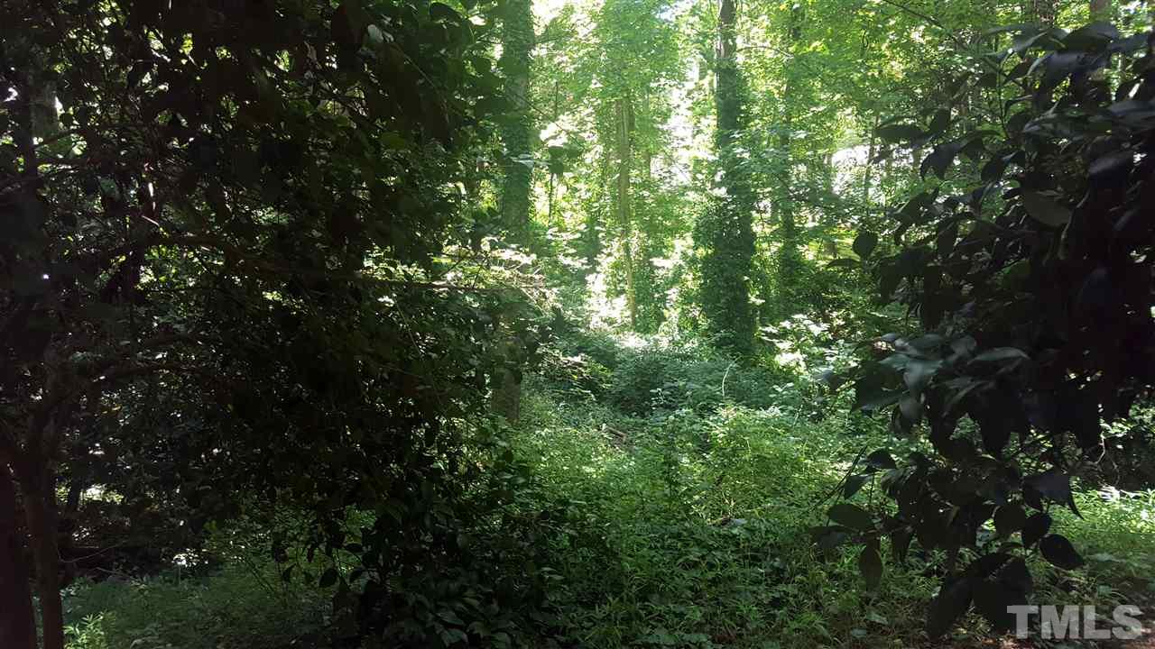 7700 Greentree Court Raleigh, NC 27615 - Photo 23 of 25 a view of a tree in a yard