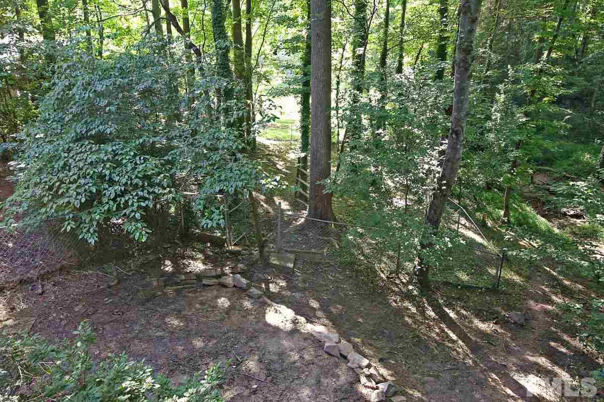 7700 Greentree Court Raleigh, NC 27615 - Photo 5 of 25 a view of a forest with lots of trees
