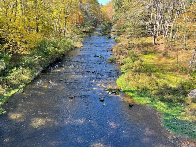 a view of a yard with plants and trees