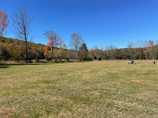 a view of a field with trees in the background