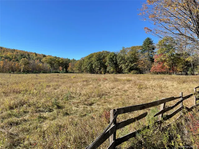a view of a yard with wooden bridge