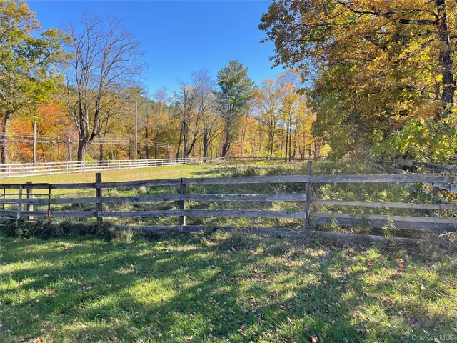 a view of yard with green space and trees