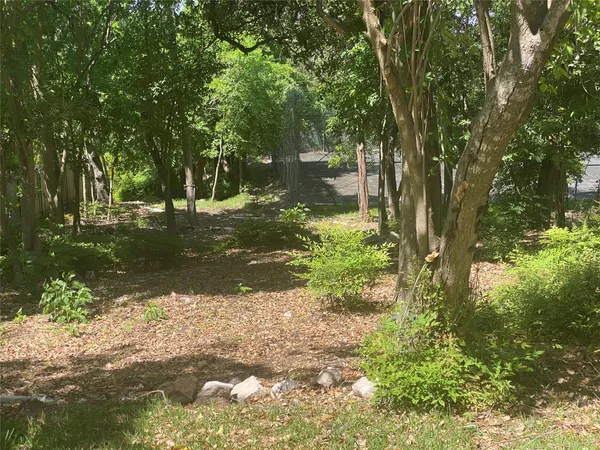 a view of a tree with a yard