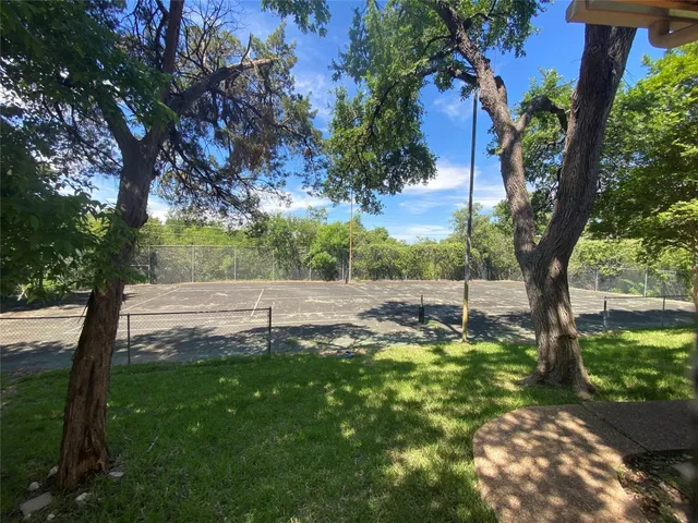a view of a garden with a tree