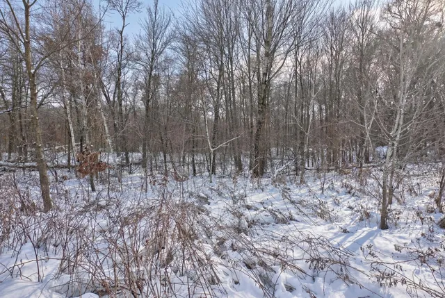 $149,000 | Xxx Xxx 218th (lot 37) Avenue, Somerset, WI 54025