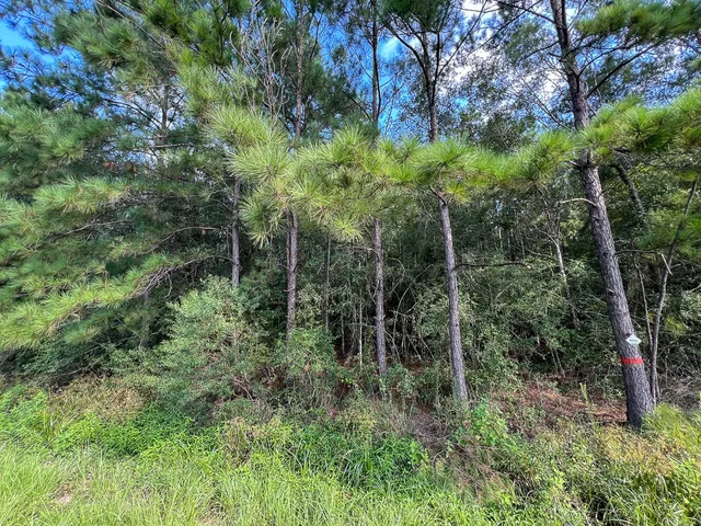 $232,050 | 2 Fm 2802, Vidor, TX 77662