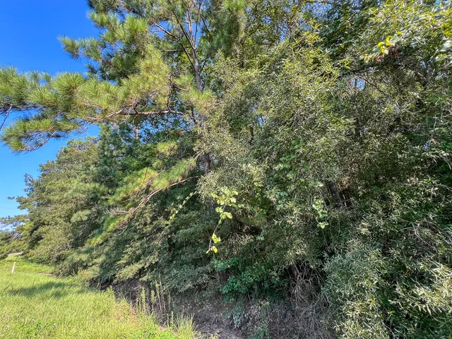 $232,050 | 2 Fm 2802, Vidor, TX 77662