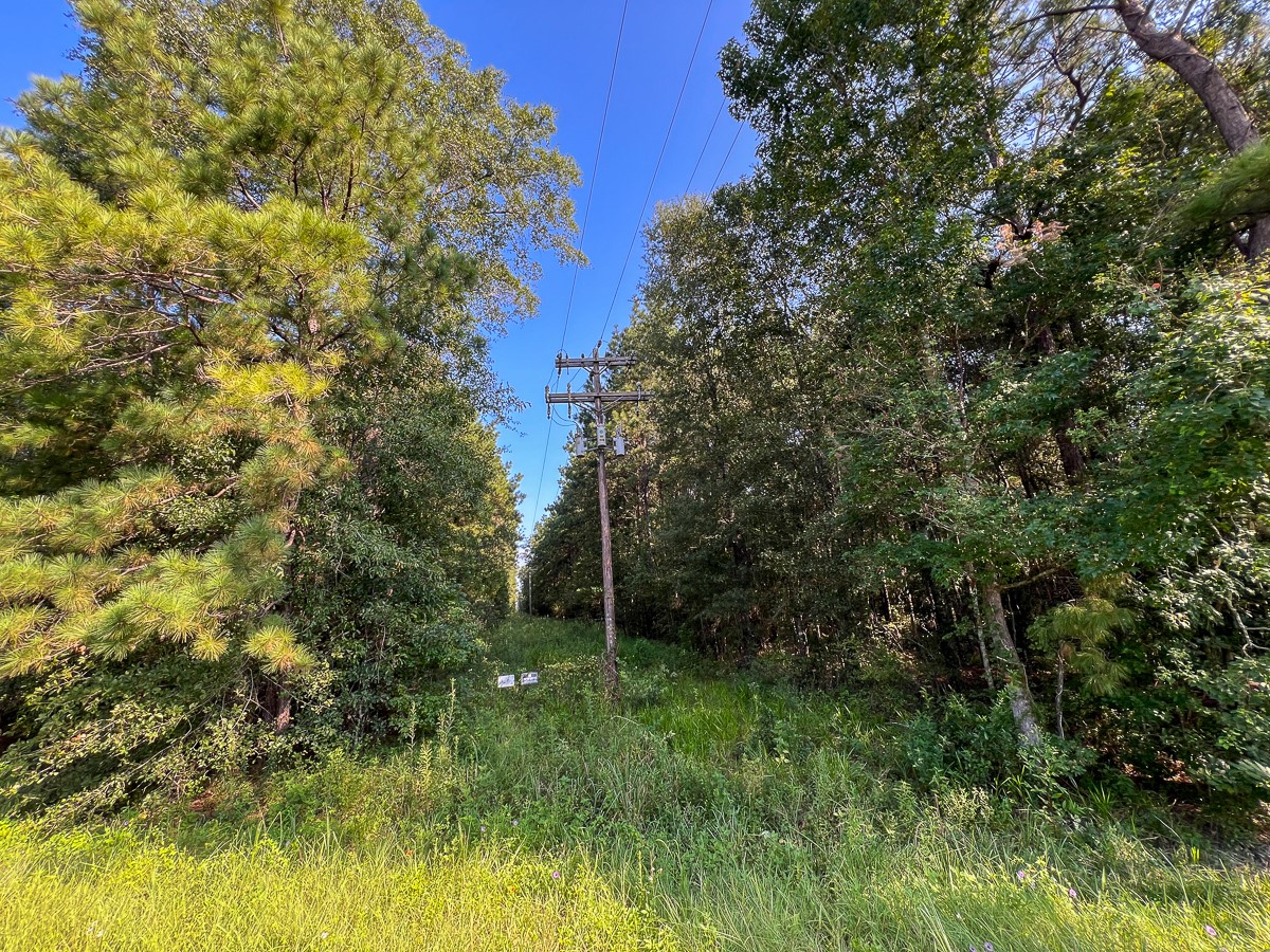 2 Fm 2802 Vidor, TX 77662 - Photo 6 of 13