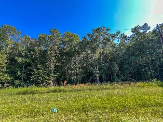 $232,050 | 2 Fm 2802, Vidor, TX 77662