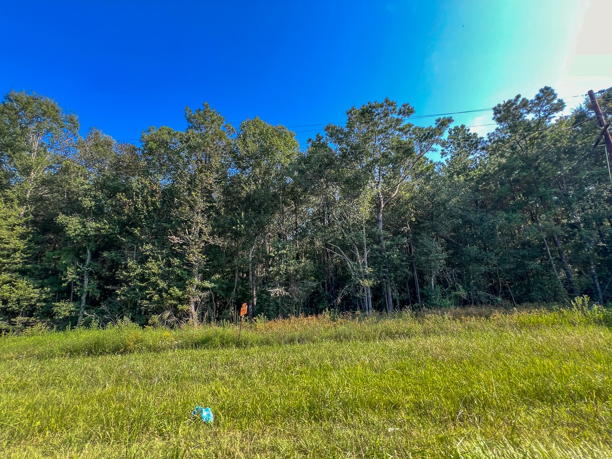 2 Fm 2802 Vidor, TX 77662 - Photo 7 of 13