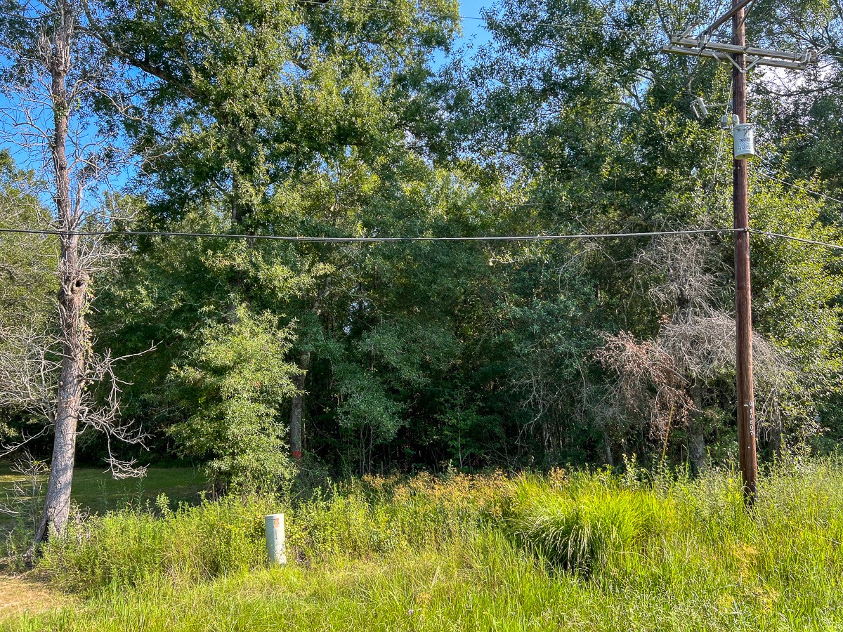 2 Fm 2802 Vidor, TX 77662 - Photo 10 of 13