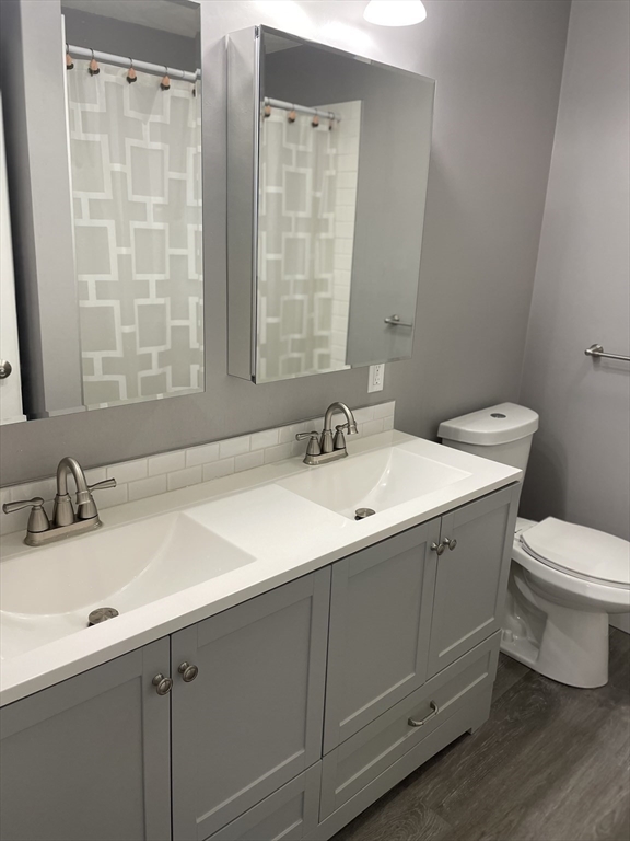 31 Blithewood Avenue, Unit 705 Worcester, MA 01604 - Photo 17 of 31 a bathroom with a sink and a toilet