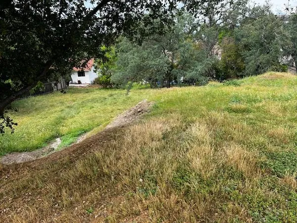 a view of a field with trees
