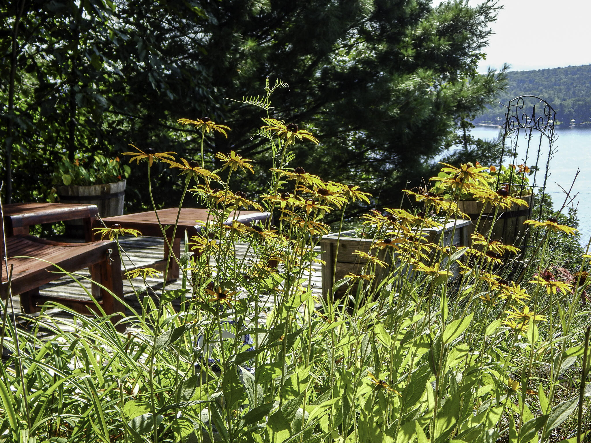 735 Highland Road Keeseville, NY 12944 - Photo 45 of 80 Wilson - Highlands Rd - kelly photo - fl