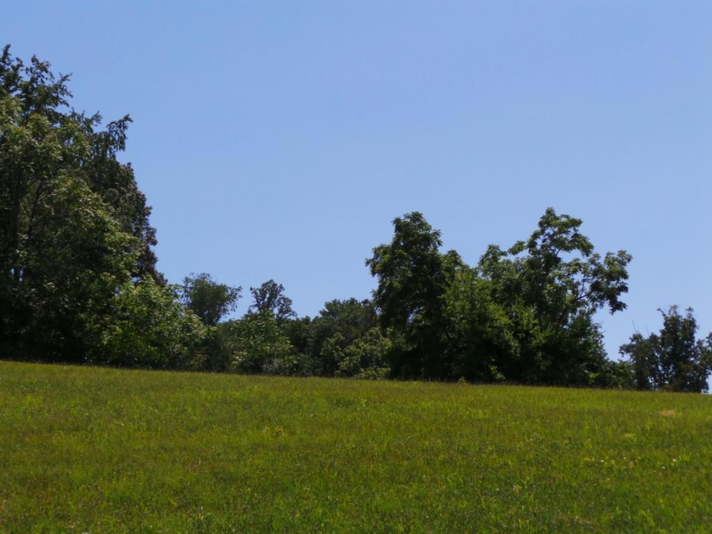 0 Mitchell Road, Unit 436 Kingsport, TN 37664 - Photo 1 of 7 Photo 1