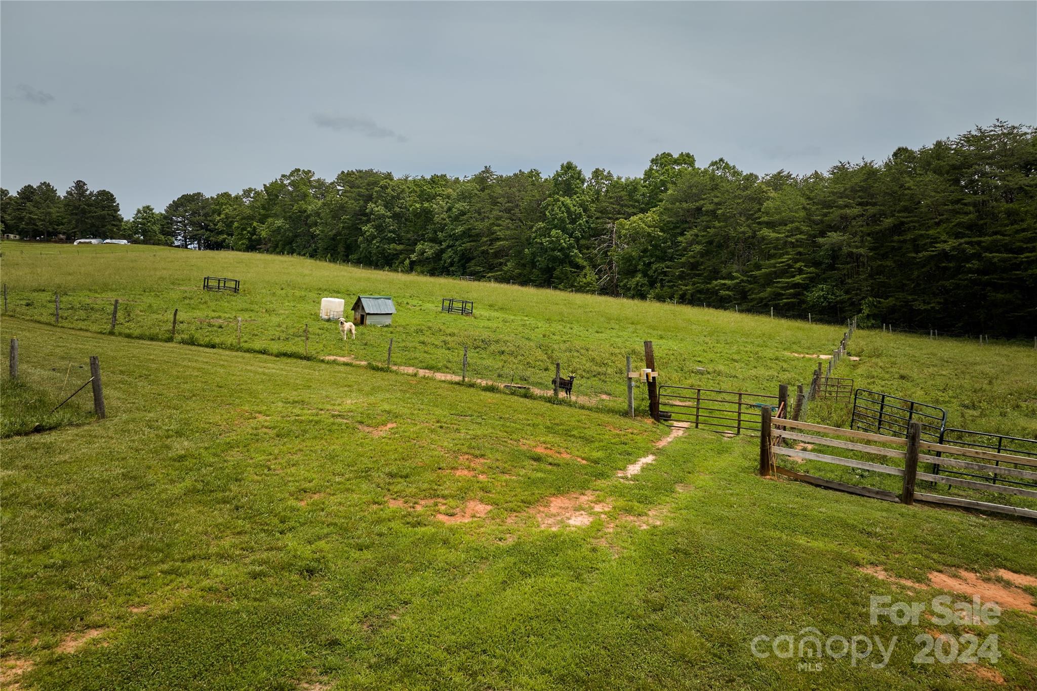 1324 McEntire Road Rutherfordton, NC 28139 - Photo 5 of 48