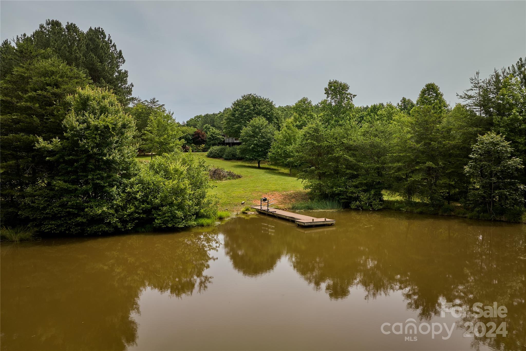 1324 McEntire Road Rutherfordton, NC 28139 - Photo 7 of 48