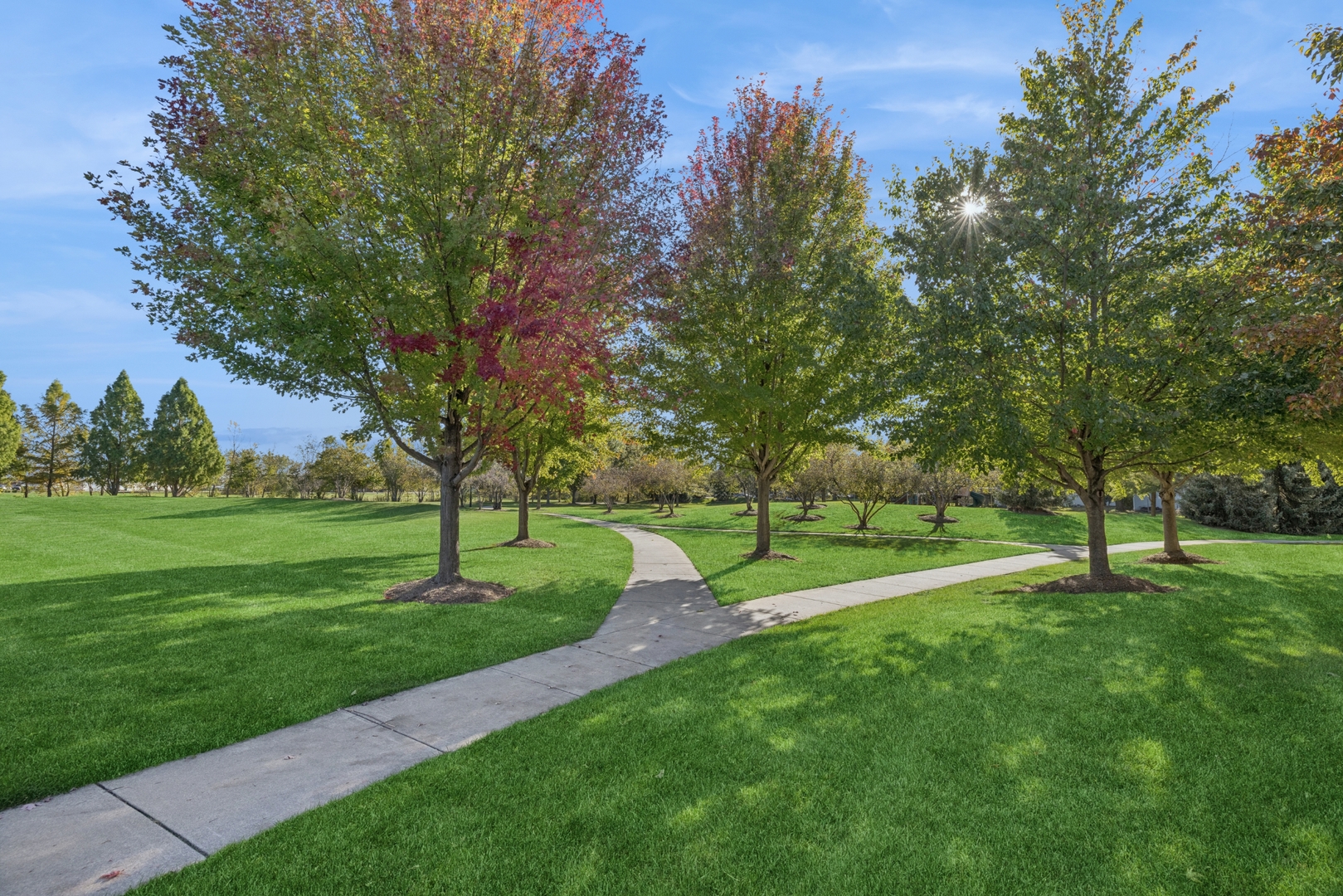 152 Jackson Street Gilberts, IL 60136 - Photo 25 of 31 a view of a park with trees in the background