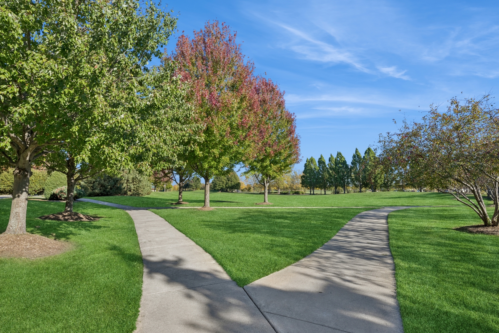 152 Jackson Street Gilberts, IL 60136 - Photo 26 of 31 a view of a park with large trees