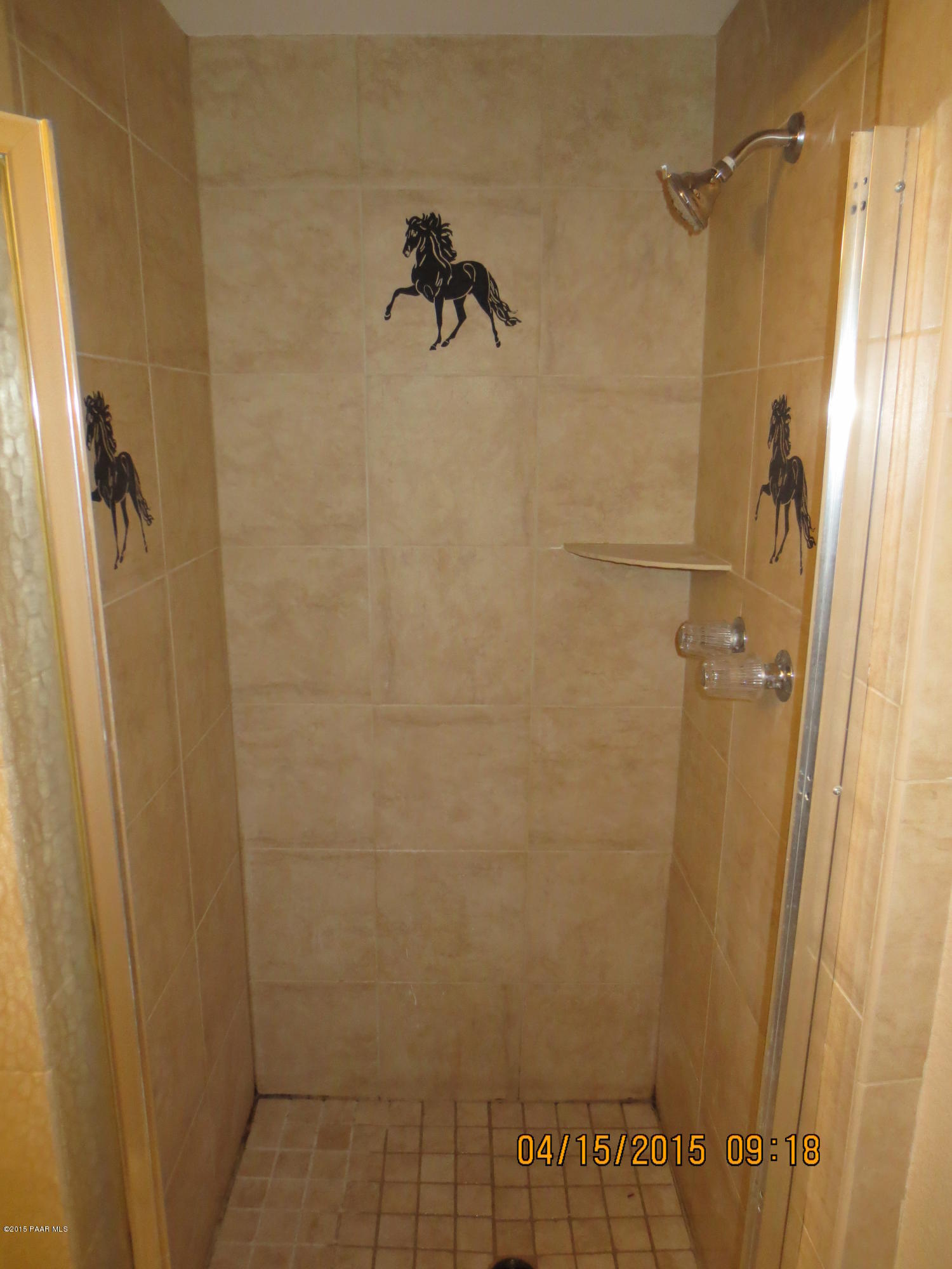 6316 West Vineyard Road Laveen, AZ 85339 - Photo 29 of 44 GuestShower