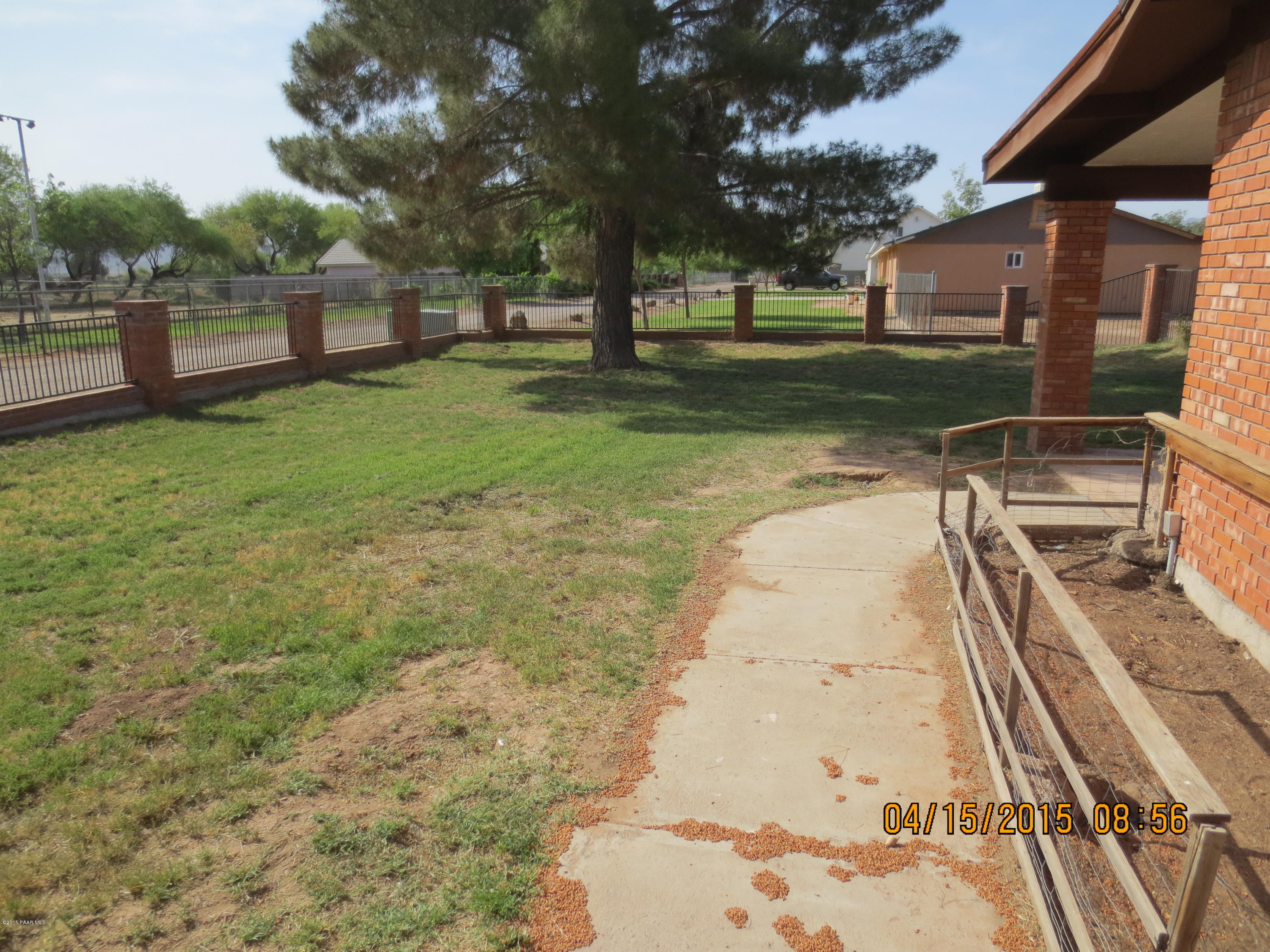 6316 West Vineyard Road Laveen, AZ 85339 - Photo 8 of 44 Backyard