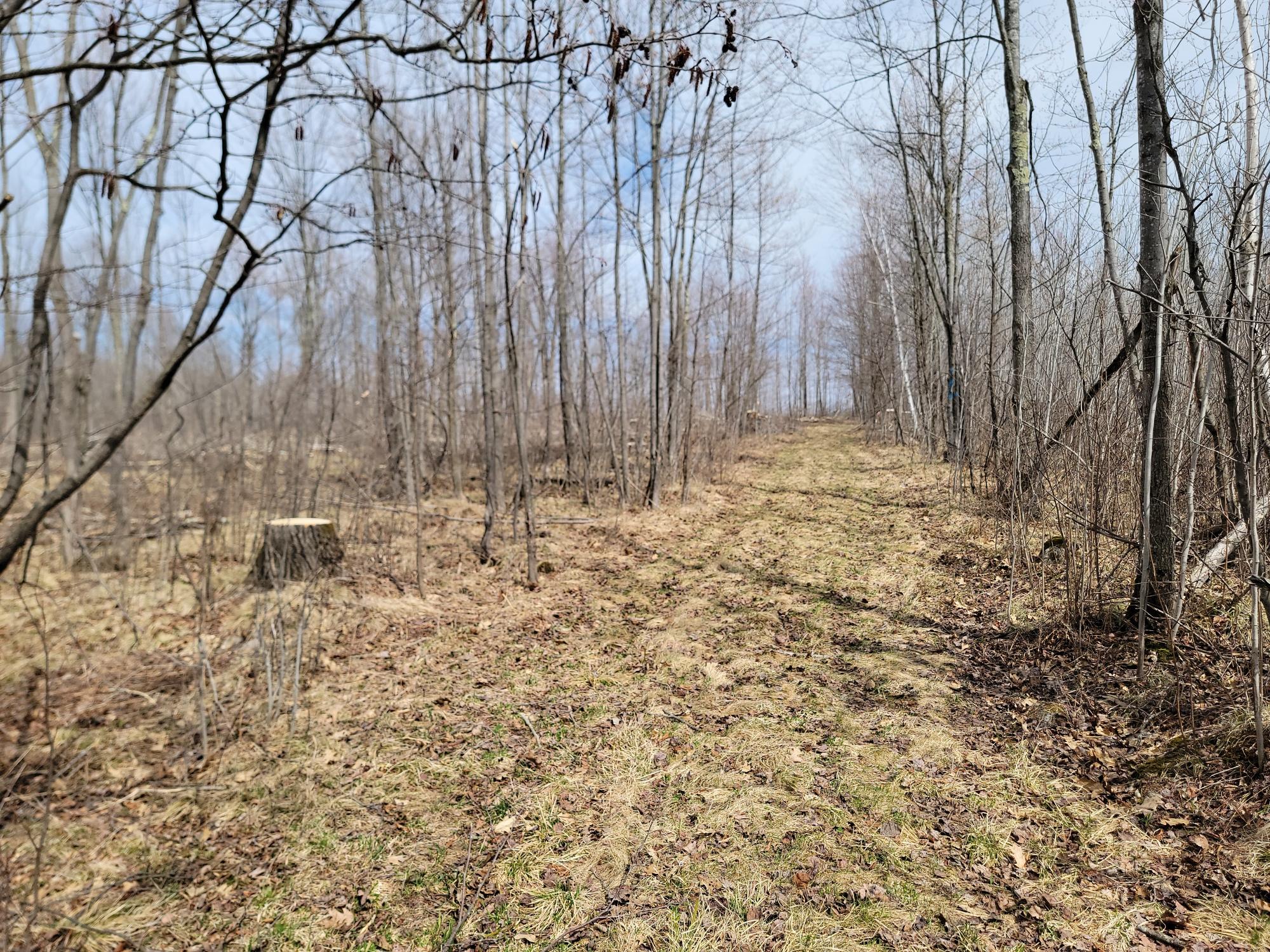 On Elderwood Road, Unit 80ACRES Phillips, WI 54555 - Photo 5 of 16 Gallery Image 5