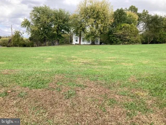 a view of a yard with plants