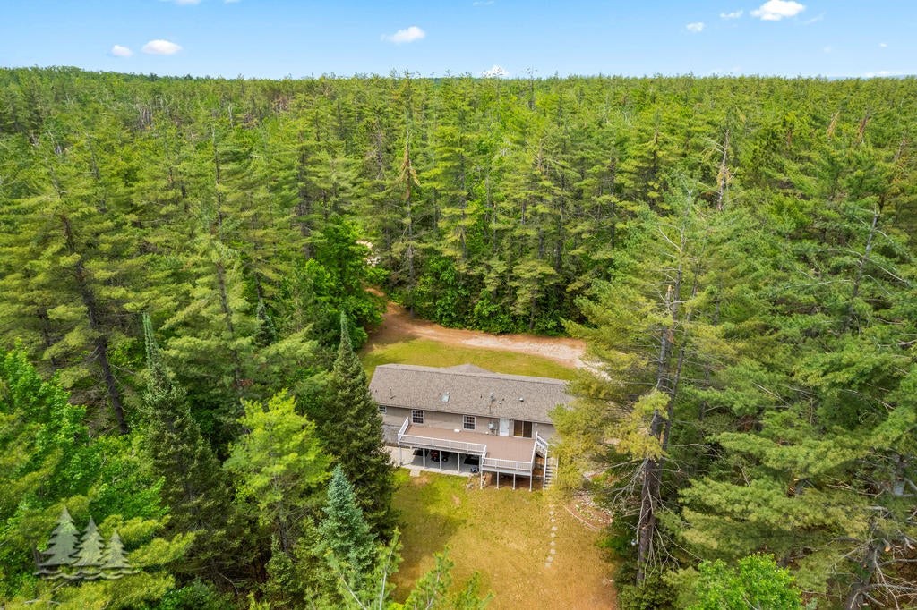 11015 Hall Road Atlanta, MI 49709 - Photo 41 of 47 Eggett 12