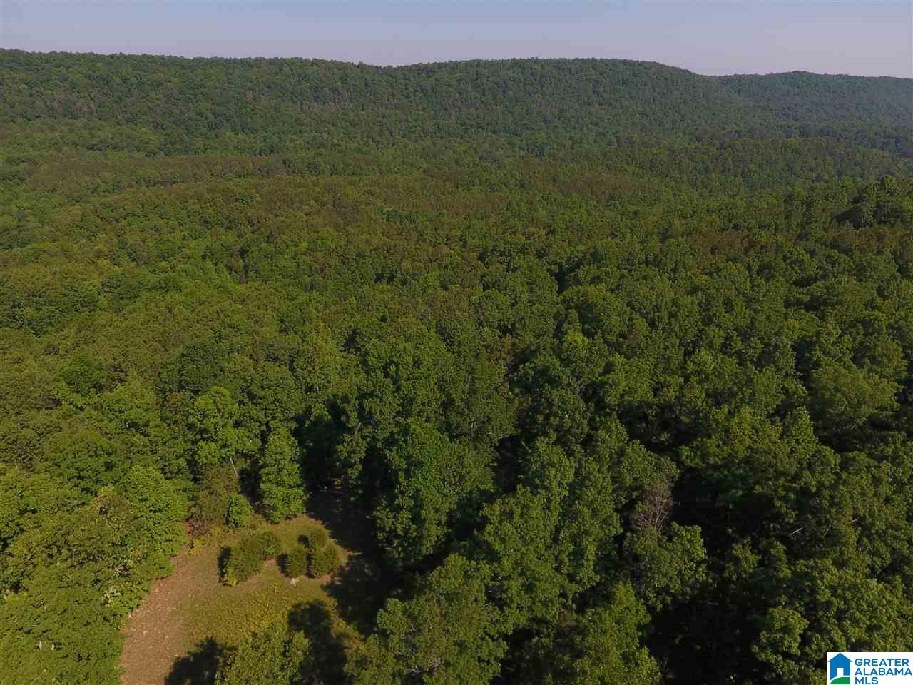 Sunhill Lane, Unit 14 Oneonta, AL 35121 - Photo 4 of 27