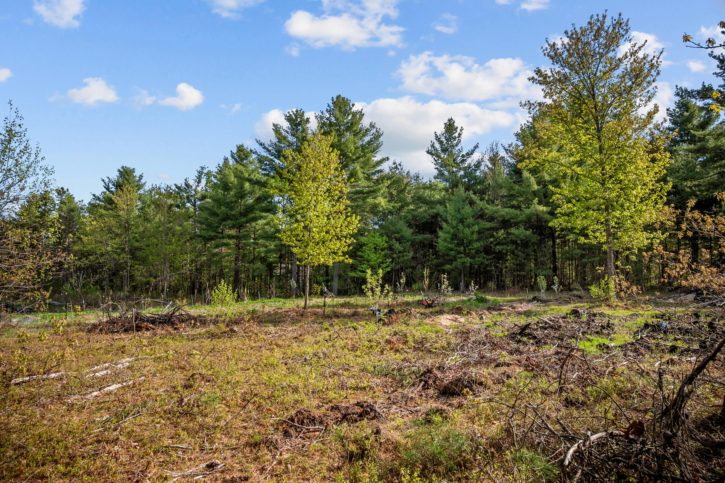 138 Main Street Brownfield, ME 04010 - Photo 14 of 37 AVA_0300