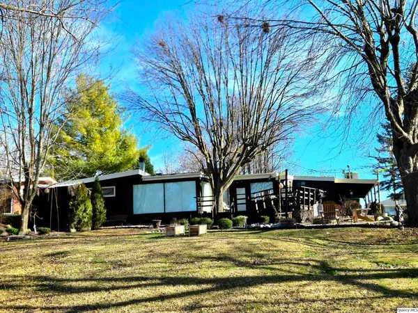 a view of a yard with a trees