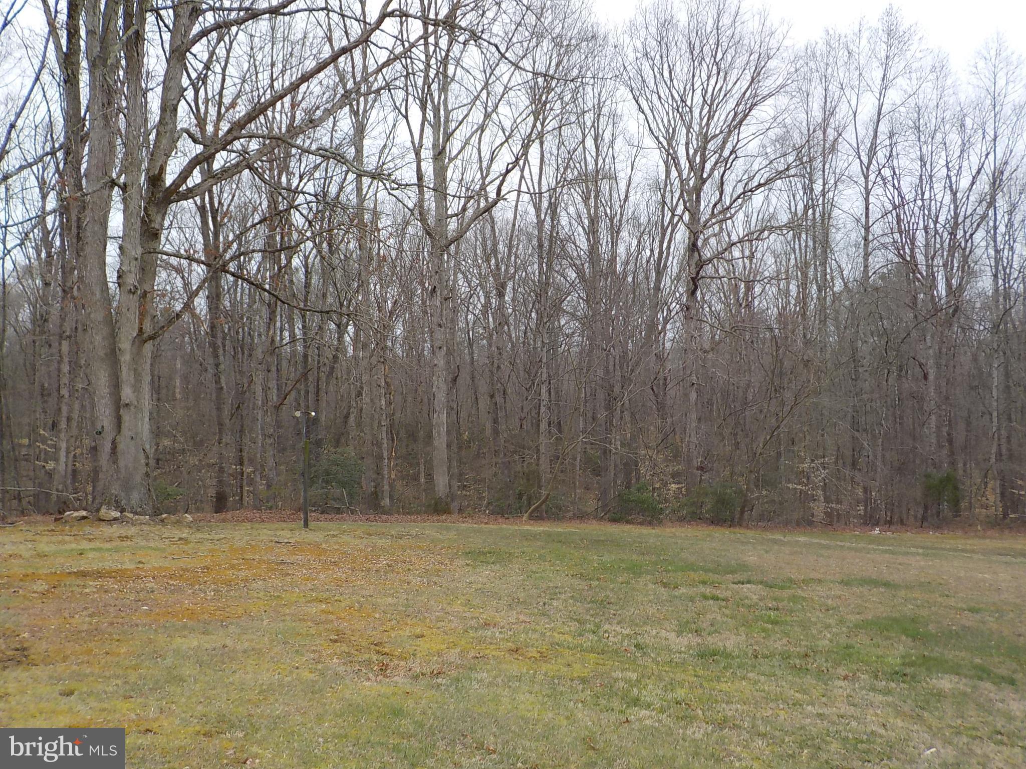 30256 Zoar Road Locust Grove, VA 22508 - Photo 7 of 15 Yard