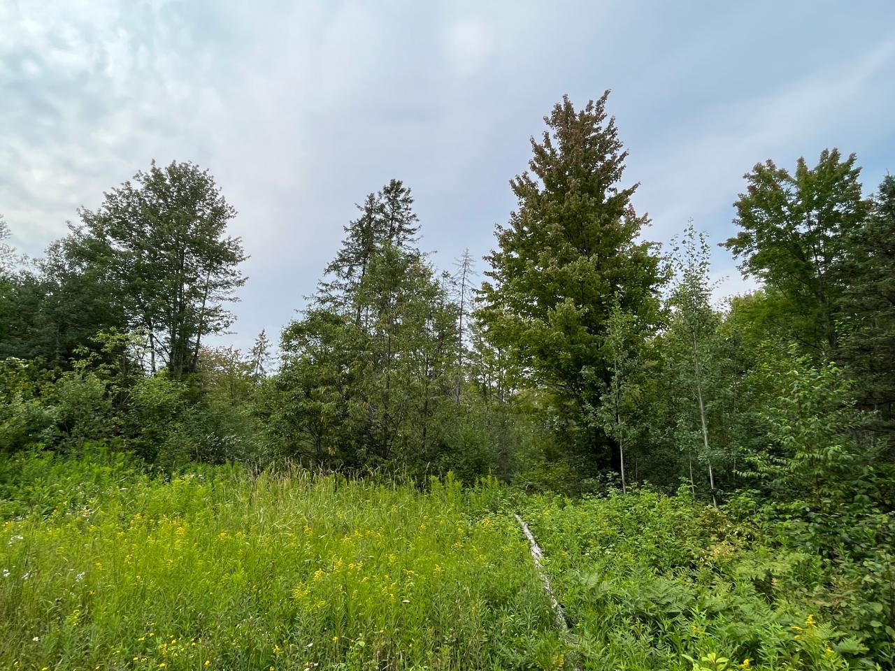 On On Cth X Prentice, WI 54556 - Photo 14 of 14 Gallery Image 14