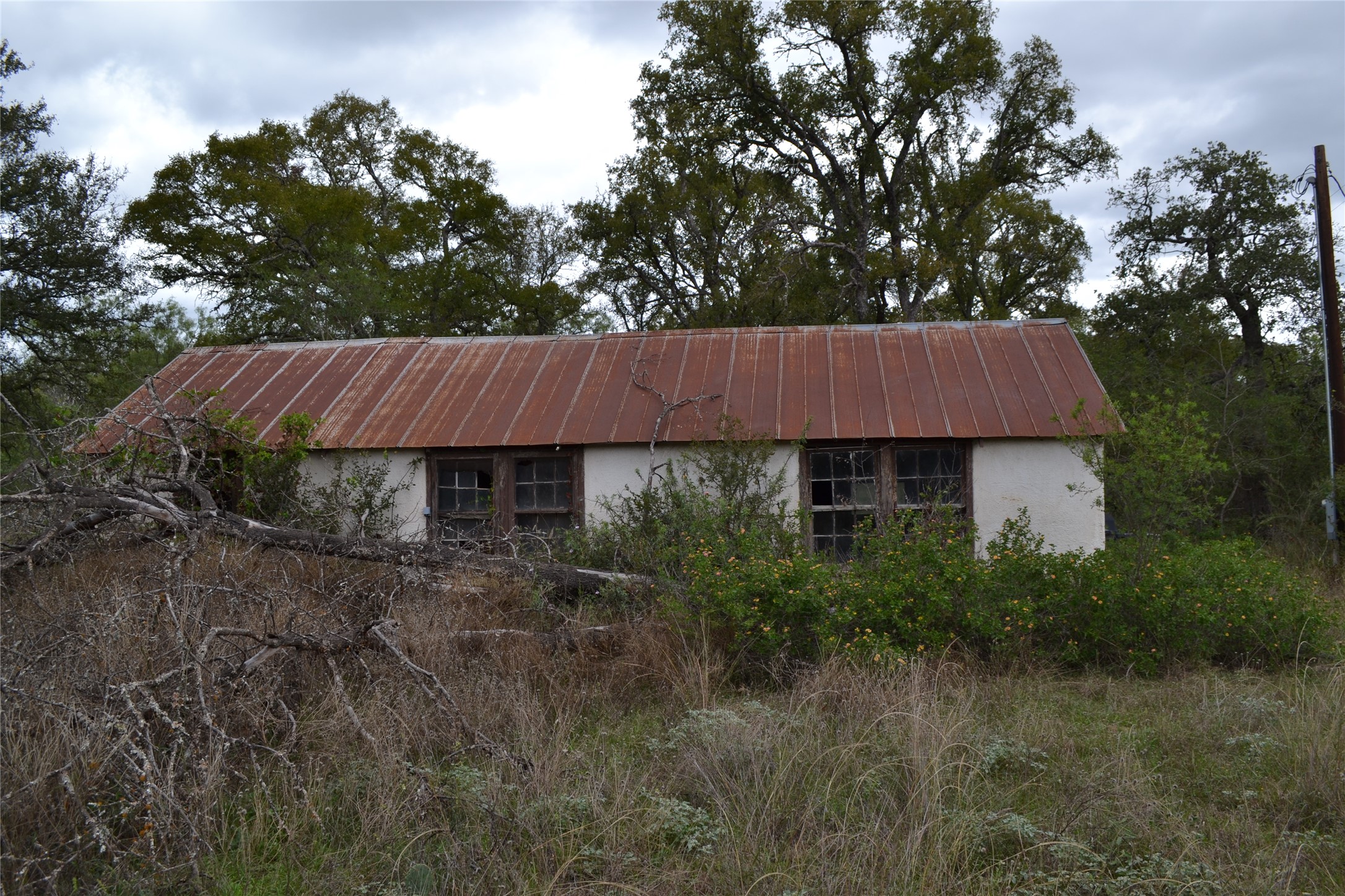 0 Ranch Road 2241 Tow, TX 78672 - Photo 23 of 33 A charming, rustic cottage awaits amidst overgrown foliage, offering potential for restoration.