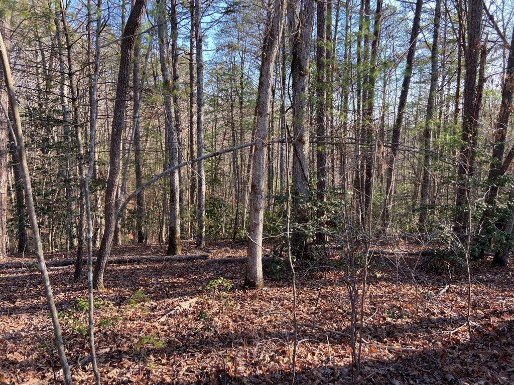 4-ac Dickey Road Murphy, NC 28906 - Photo 5 of 7 Gallery Image 5
