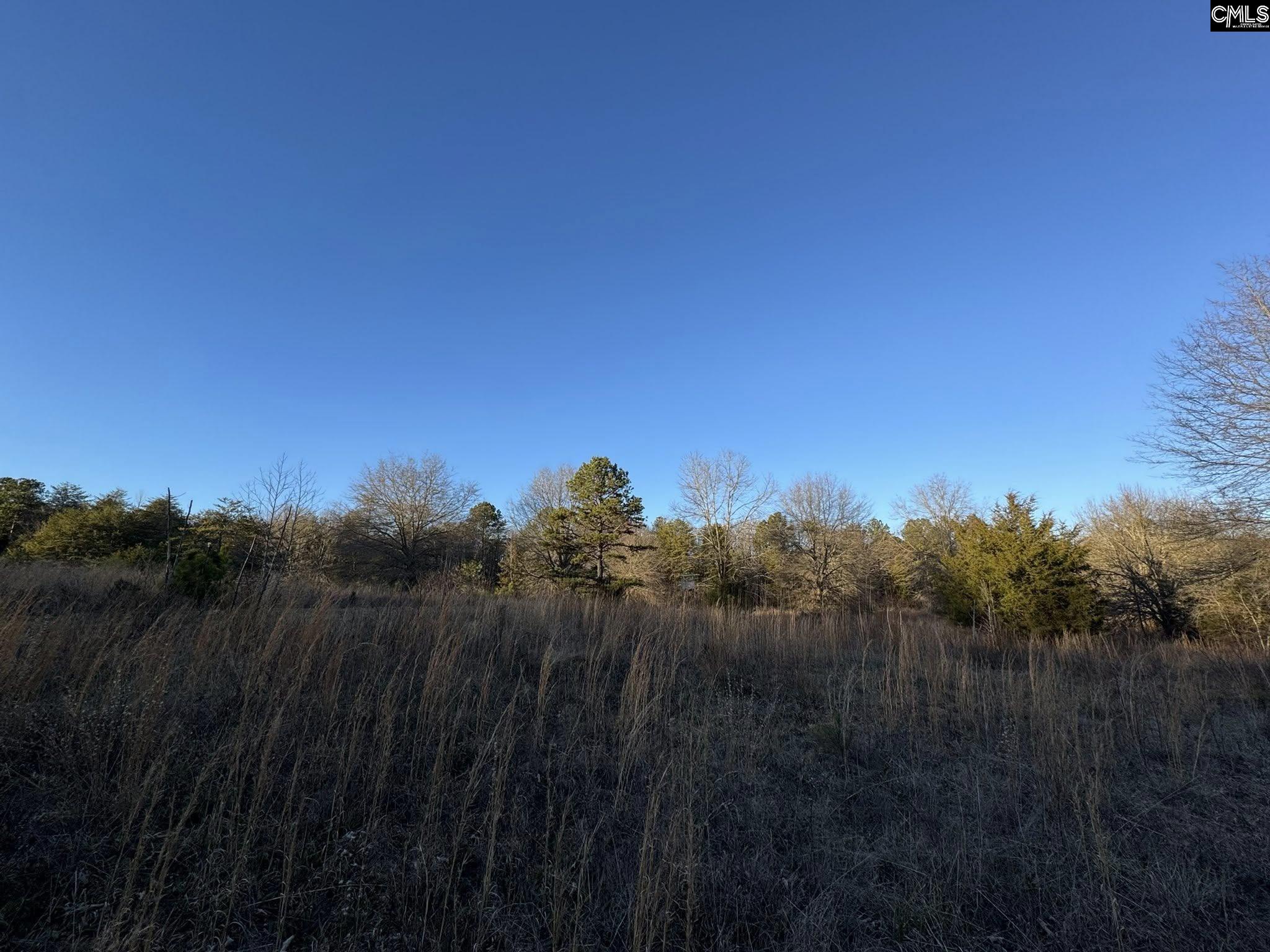 150 Floyd Lanford Road Woodruff, SC 29388 - Photo 34 of 65